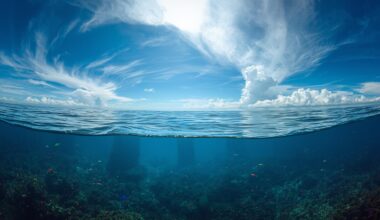 A Prayer of Thanksgiving